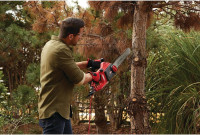 CRAFTSMAN Electric Chainsaw, 16 Inch, 12 Amp Corded (CMECS600)