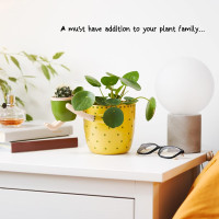 VIRTUNE Adorable Plant Pots. 5