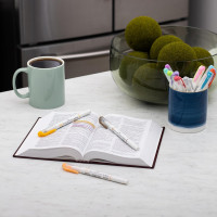 Zebra Pen Mildliner Double-Ended Brush Marker, Paint Brush-Like Tip and Fine Tip Marker Pen, Ideal for Creating Thick or Thin Strokes, No Bleed, Assorted Soft Hue Colors, 10-Pack (79101) Assorted B 1 Count (Pack of 10) Brush Marker