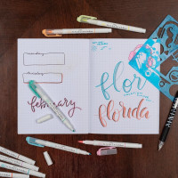 Zebra Pen Mildliner Double-Ended Brush Marker, Brush and Fine Tip Pen, Ideal for Bible Highlighting, No Bleed, Assorted Soft Hue Colors, 10-Pack (79101) Assorted B 1 Count (Pack of 10) Brush Marker