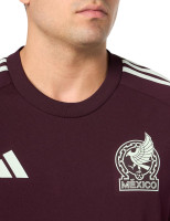 adidas Men's Mexico Jersey Medium Dark Burgundy 2024