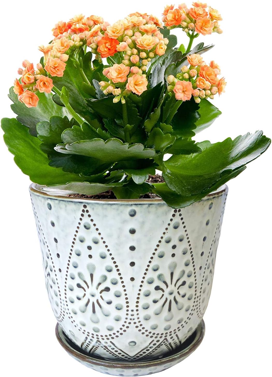 Gepege 6 Inch Beaded Ceramic Planter Set of 2 with Drainage Hole and Saucer for Plants, Indoor-Outdoor Large Round Succulent Orchid Flower Pot (Smoked Gray, Inner-pots not Larger Than 5 Inch) 6inch+6inch-set of 2 Cream White