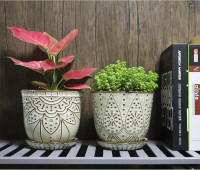 Gepege 6 Inch Beaded Ceramic Planter Set of 2 with Drainage Hole and Saucer for Plants, Indoor-Outdoor Large Round Succulent Orchid Flower Pot (Smoked Gray, Inner-pots not Larger Than 5 Inch) 6inch+6inch-set of 2 Cream White