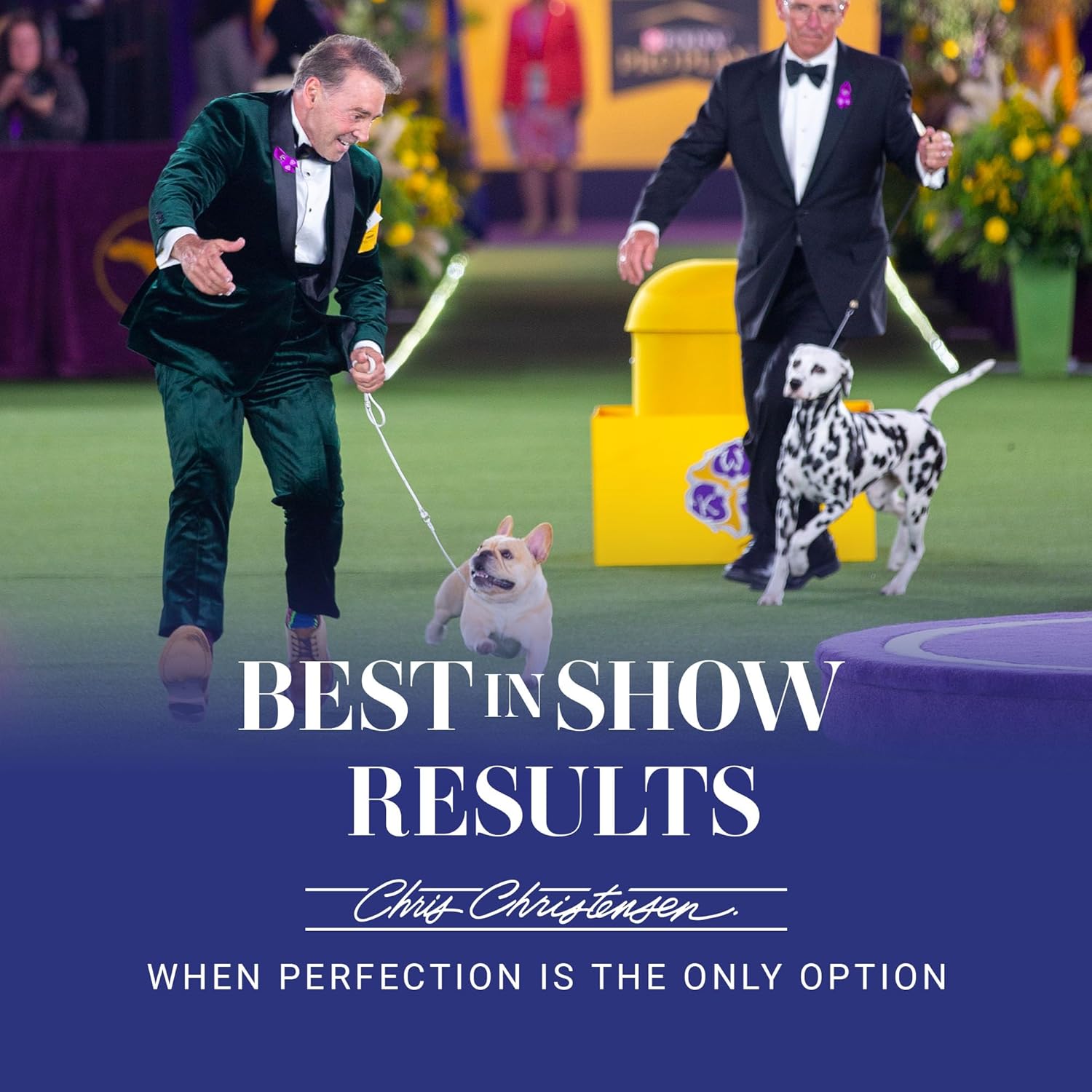 Chris Christensen Dog Brush, 27 mm Oval Pin Brush, Original Series, Groom Like a Professional, Stainless Steel Pins, Lightweight Beech Wood Body, Ground and Polished Tips Brown 27mm-Regular