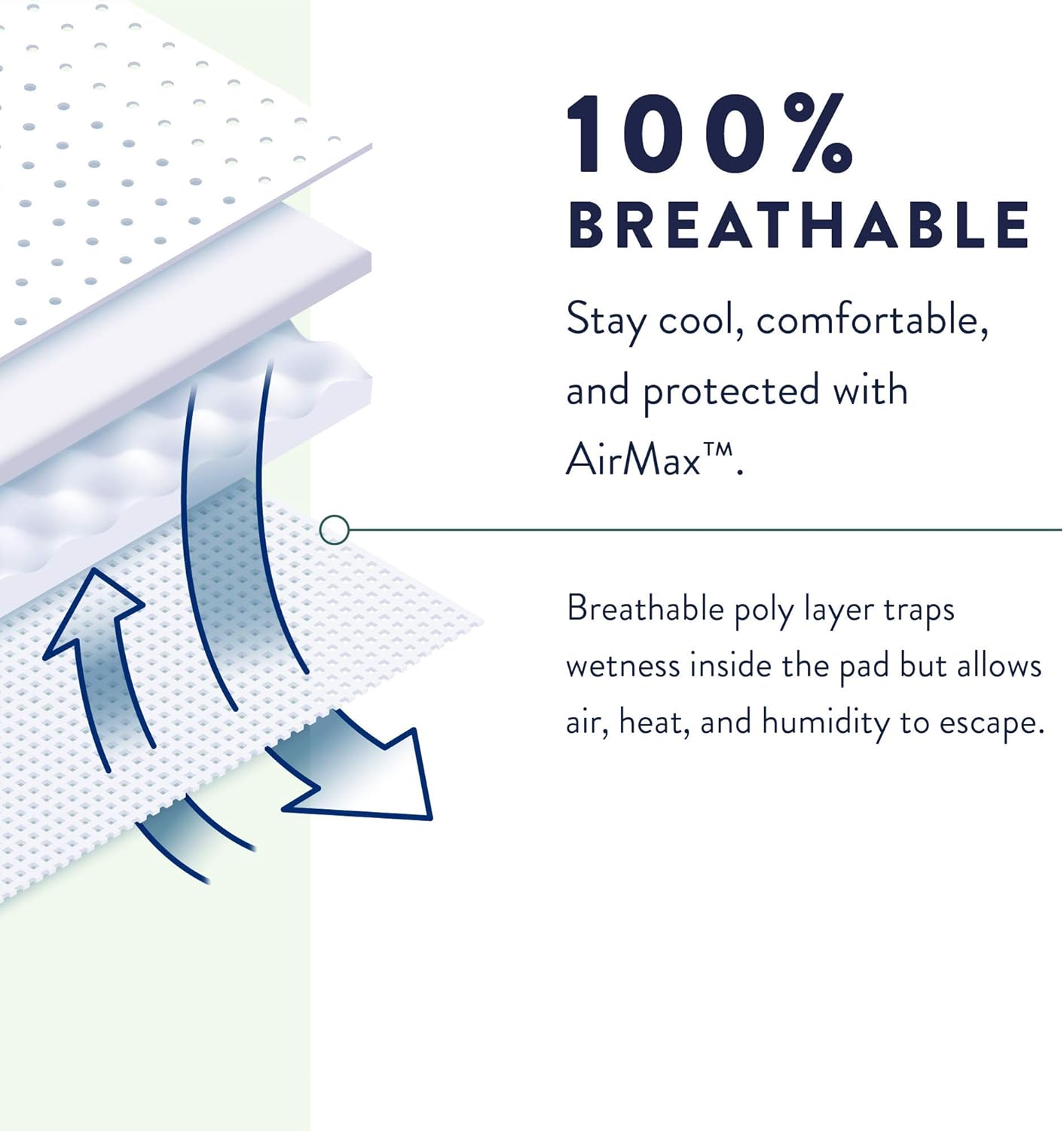 Prevail Daily Protective Underwear - Unisex Adult Incontinence Underwear - Disposable Adult Diaper for Men & Women - Maximum Absorbency - Medium - 80 Count (4 packs of 20) M (80 Count)