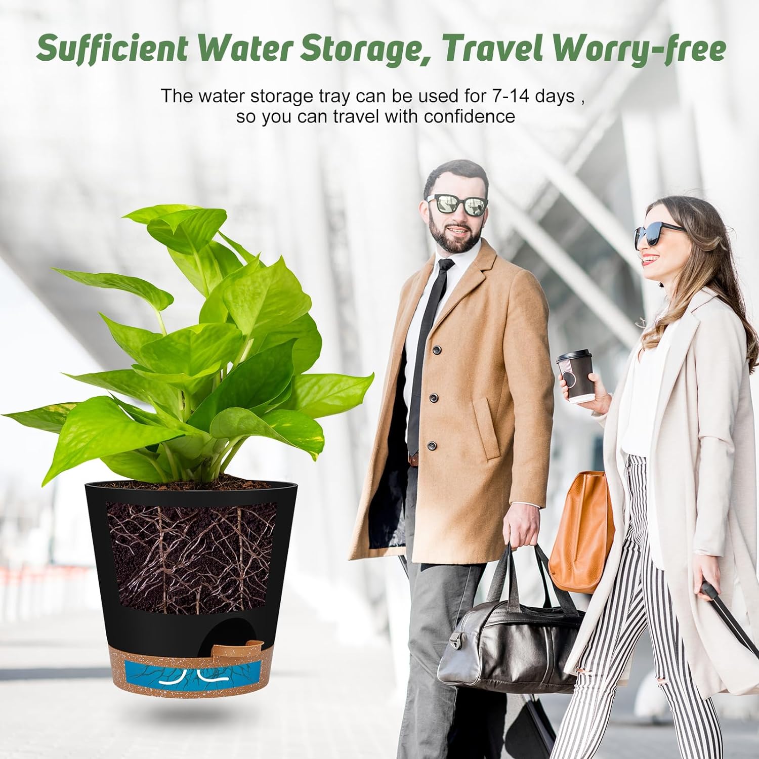 Indoor Self Watering Planters with Drainage Holes and Saucers, 8, 7, 6.5, 6, 5.5, 5 Inches, Black, 6 Pots 8+7+6.5+6+5.5+5 inch Black