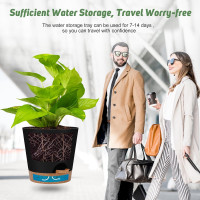 Indoor Self Watering Planters with Drainage Holes and Saucers, 8, 7, 6.5, 6, 5.5, 5 Inches, Black, 6 Pots 8+7+6.5+6+5.5+5 inch Black