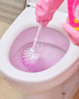 The Pink Stuff Miracle Toilet Cleaner, 750ml – Powerful Stain-Removing Gel for a Sparkling Clean Bowl – Eliminates Limescale, Tough Stains & Odors with Fresh Rhubarb Scent 1 Fl Oz (Pack of 1)
