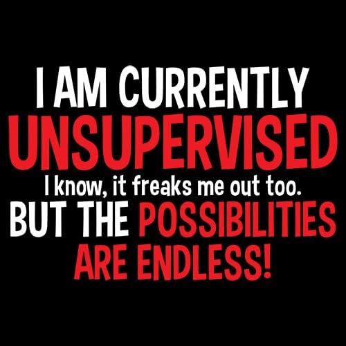 I'm Currently Unsupervised Novelty Graphic Sarcastic Humorous Mens Funny T Shirt Adult X-Large Black