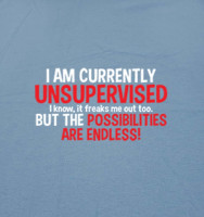 I'm Currently Unsupervised Novelty Graphic Sarcastic Funny T Shirt