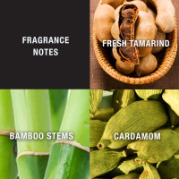 Lucky Brand Lucky You Cologne Spray for Men, Day or Night Casual Scent with Bamboo Stem Fragrance Notes, 3.4 Fl Oz 3.4 Fl Oz (Pack of 1) 3.4 Oz Cologne