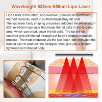 Body Shaper Weight Loss Cellulite Removal Laser Slimming Beauty Machine Elitzia ETMS (12+4)
