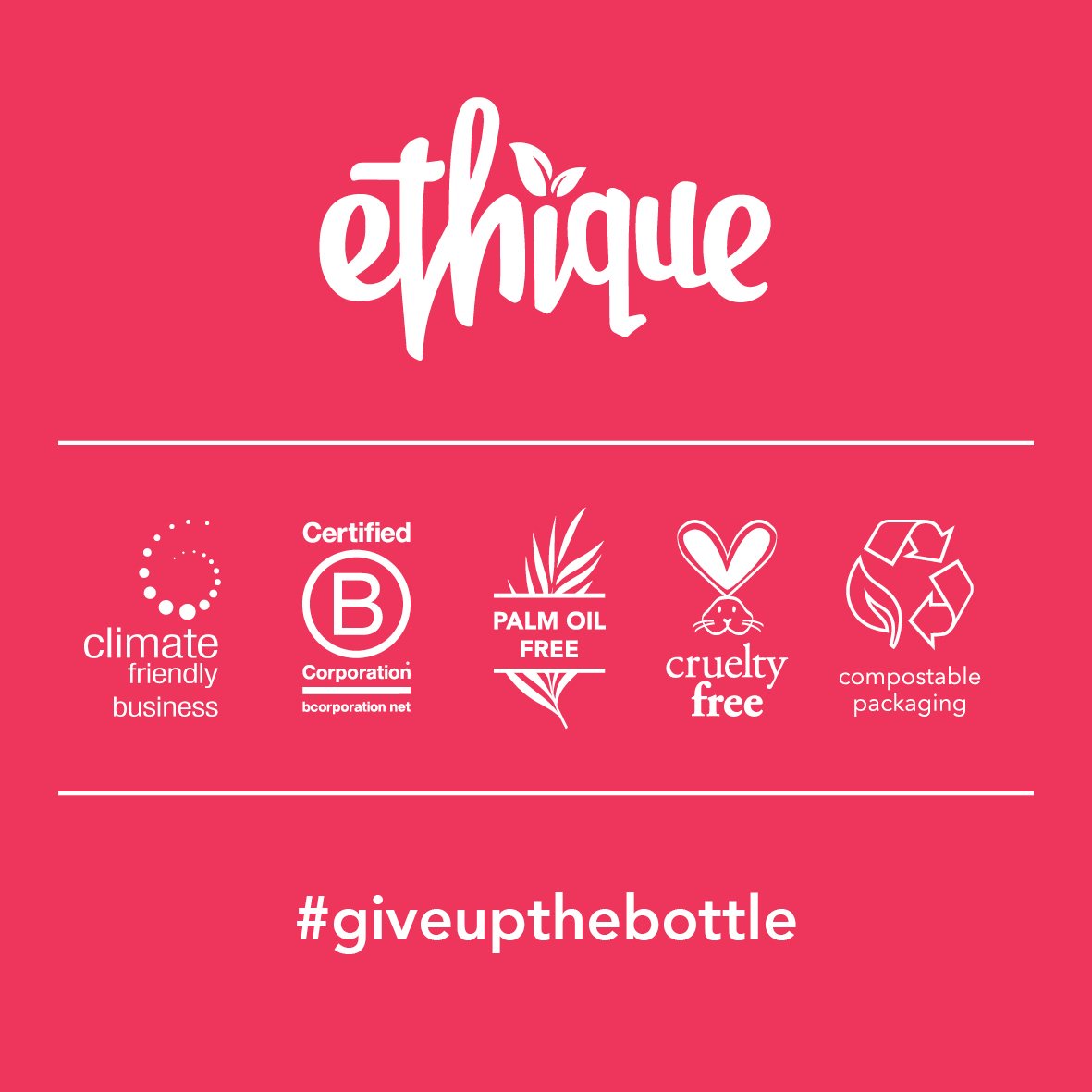 Ethique Tame Those Locks Gift Pack for Dry Hair - Shampoo & Conditioner Bundle - Plastic-Free, Vegan, Cruelty-Free, Eco-Friendly, 6 oz (Pack of 1)