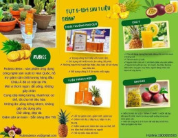 RUBISS Detox Nuoc Ep Chanh Day Dua - Fruits Juice Detox- Passionfruit, Pineapple - 12packs x 20ml / 1 Boxes