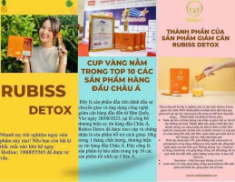 RUBISS Detox Nuoc Ep Chanh Day Dua - Fruits Juice Detox- Passionfruit, Pineapple - 12packs x 20ml / 1 Boxes