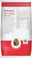 Purina | Berry Good - Raspberry Flavored Senior Horse Treats | Added Biotin for Hoof Health - 15 Pound (15 lb.) Bag