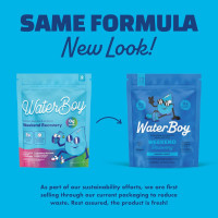 Waterboy Weekend Recovery Sample Pack | 3,200mg Electrolyte Powder Packets | Ginger + L-Theanine + Vitamins | No Sugar, All Natural, Gluten Free | 12 Drink Stick Mixes (Sample Pack) Variety Pack 12ct