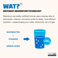 Waterboy Weekend Recovery Sample Pack | 3,200mg Electrolyte Powder Packets | Ginger + L-Theanine + Vitamins | No Sugar, All Natural, Gluten Free | 12 Drink Stick Mixes (Sample Pack) Variety Pack 12ct