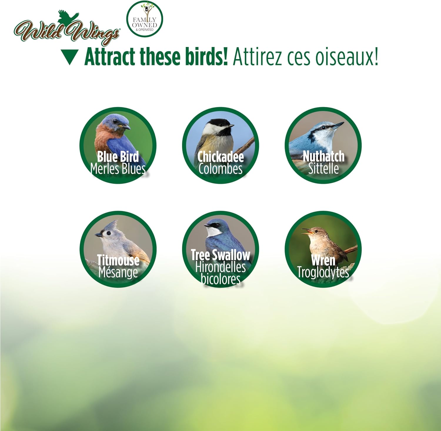 Wild Wings WWCH3 Cedar Blue Bird Box House