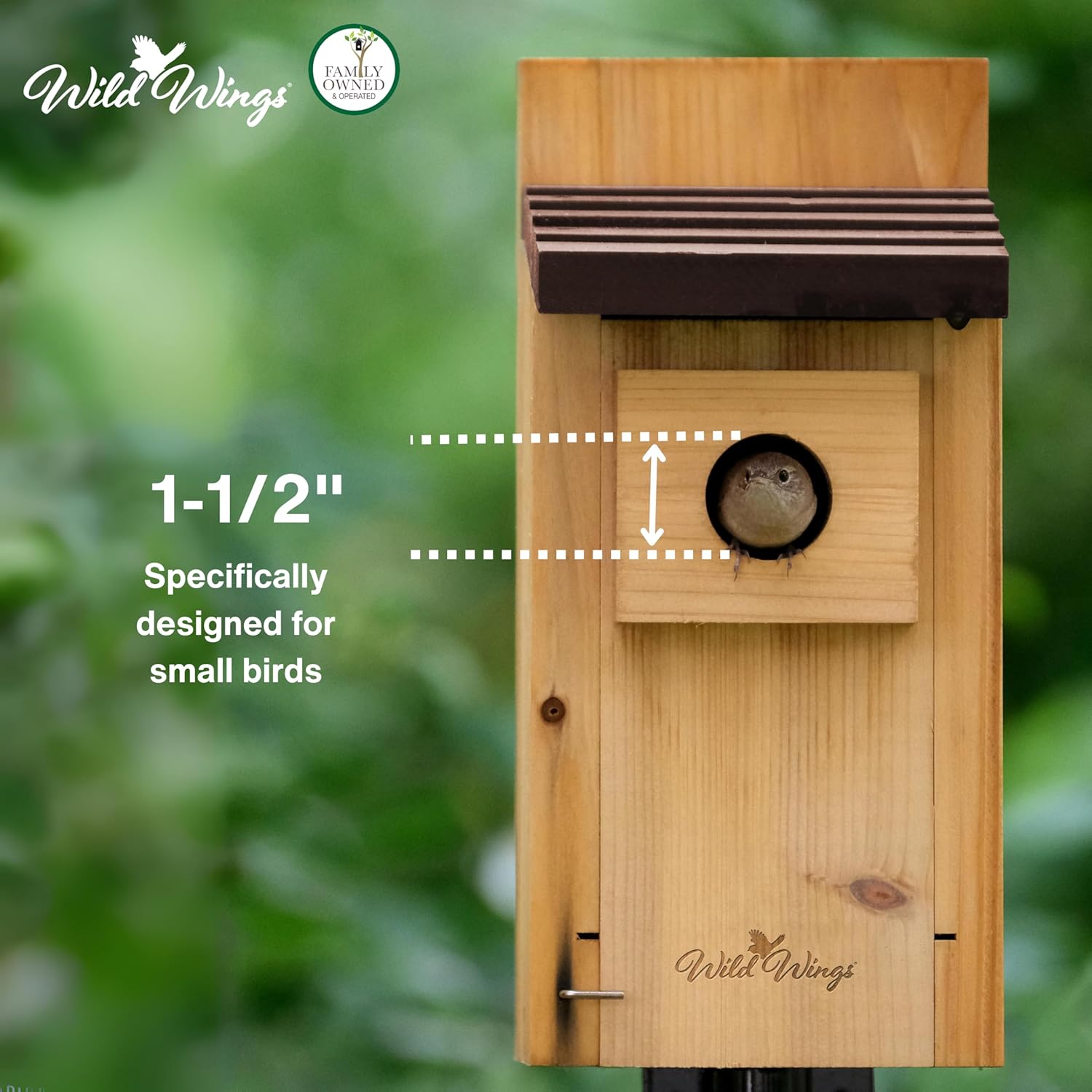 Wild Wings WWCH3 Cedar Blue Bird Box House