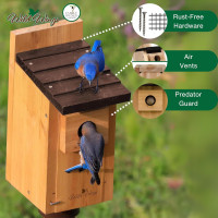 Wild Wings WWCH3 Cedar Blue Bird Box House