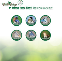 Wild Wings WWCH3 Cedar Blue Bird Box House