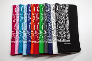 FANNI YOUPIN 100% Cotton Fine thick bandanas/scarves for Men & Women Paisley printed 12pcs
