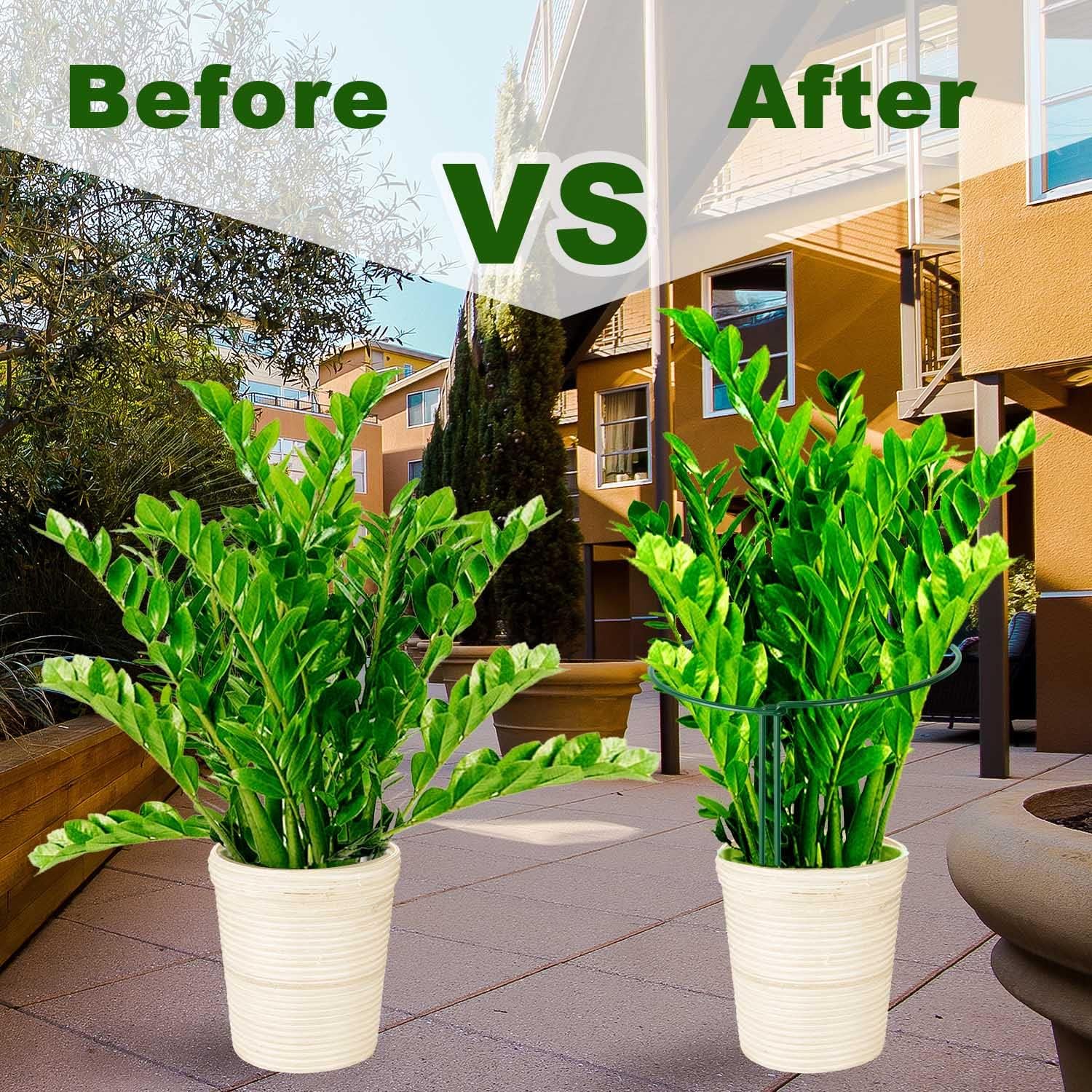 HiGift Plant Support Stakes, 6 Pack Metal Peony Cages and Supports, Garden Stakes Plant Support Cage, Large Plant Support Ring for Outdoor Indoor Snake Plant Peony Rose Flowers Vine (10