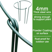 HiGift Plant Support Stakes, 6 Pack Metal Peony Cages and Supports, Garden Stakes Plant Support Cage, Large Plant Support Ring for Outdoor Indoor Snake Plant Peony Rose Flowers Vine (10