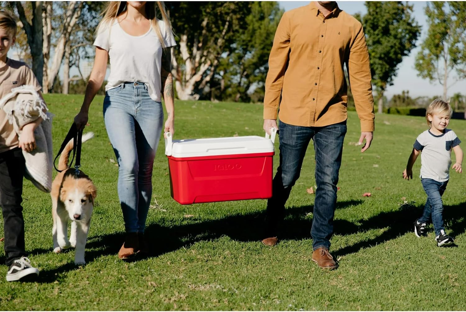 Igloos 48 QT Laguna Ice Chest Cooler – Heavy-Duty Portable Cooler w/Airtight Lid, Built-in Cup Holders & Tie-Down Slots – Ideal for Camping, Beach, Tailgating & Outdoor Adventures