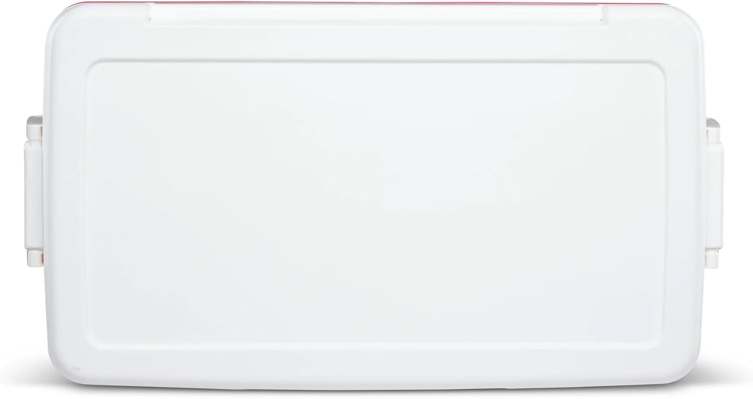 Igloos 48 QT Laguna Ice Chest Cooler – Heavy-Duty Portable Cooler w/Airtight Lid, Built-in Cup Holders & Tie-Down Slots – Ideal for Camping, Beach, Tailgating & Outdoor Adventures