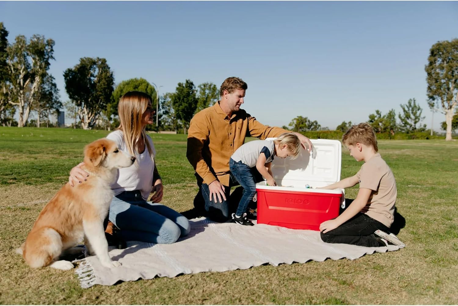 Igloos 48 QT Laguna Ice Chest Cooler – Heavy-Duty Portable Cooler w/Airtight Lid, Built-in Cup Holders & Tie-Down Slots – Ideal for Camping, Beach, Tailgating & Outdoor Adventures