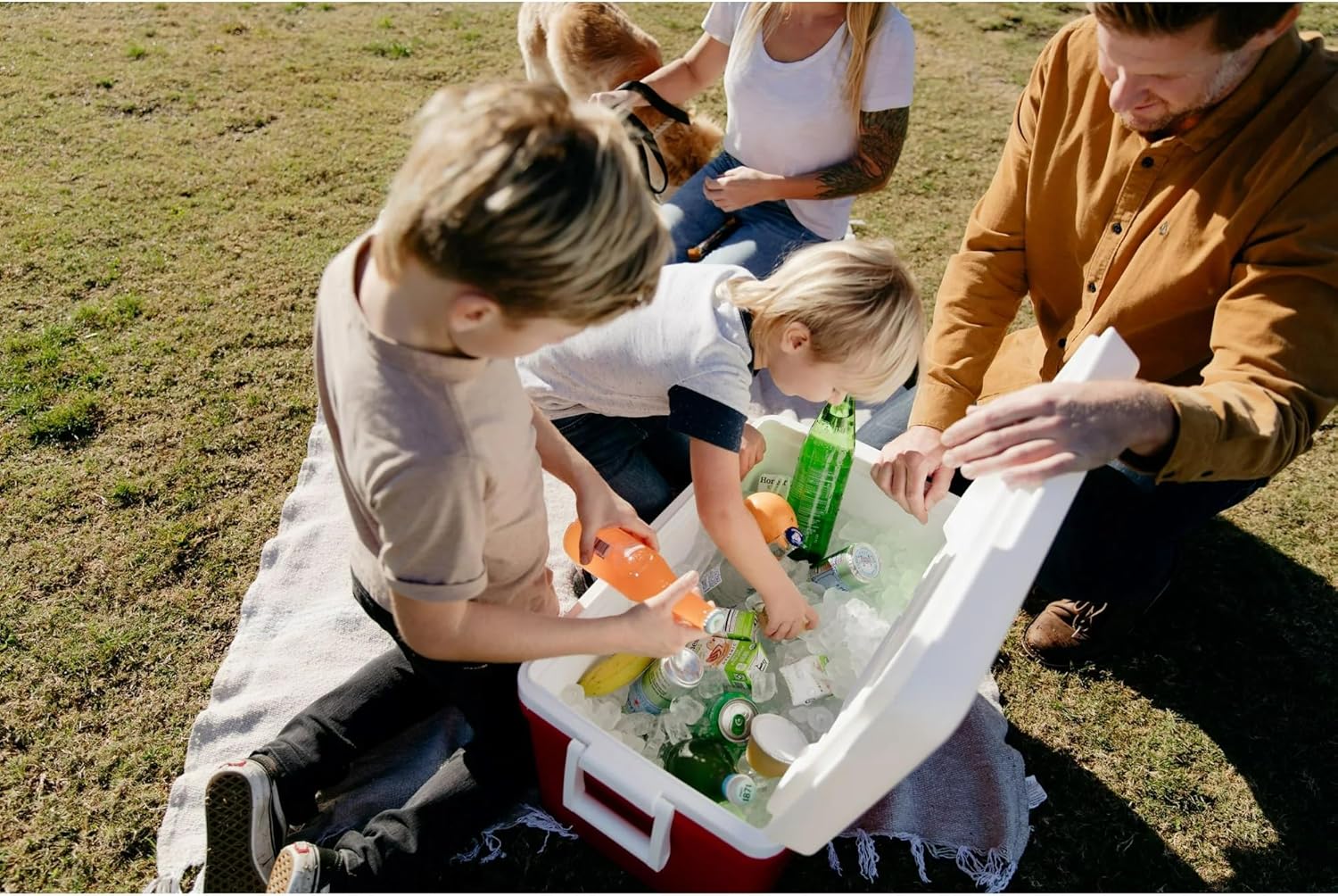 Igloos 48 QT Laguna Ice Chest Cooler – Heavy-Duty Portable Cooler w/Airtight Lid, Built-in Cup Holders & Tie-Down Slots – Ideal for Camping, Beach, Tailgating & Outdoor Adventures