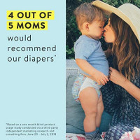 The Honest Company Super Club Box Diapers with TrueAbsorb Technology, Painted Feathers & Bunnies, Size 4, 120 Count: Health & Personal Care