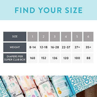 The Honest Company Super Club Box Diapers with TrueAbsorb Technology, Painted Feathers & Bunnies, Size 4, 120 Count: Health & Personal Care