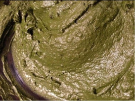 2 Lbs Pure Henna Powder From Jaipur Rajastan