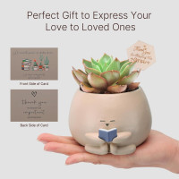 Bookworm Planter Pot Succulent Pot for Book and Plant Lover & Thank You Card, Emotional Support Gift, End of School Gift, Teacher Gift Mother Dad Appreciation S Small
