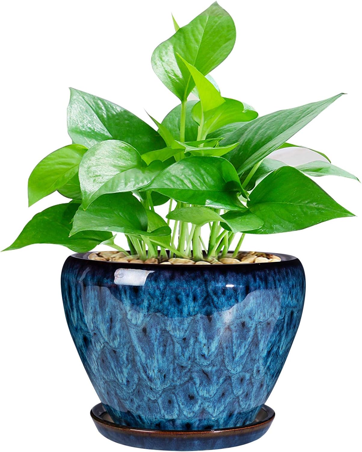 Ceramic Modern Glaze Succulent Planter Pot with Drainage Hole and Saucer 6 Inch Round Flower Plant Pot for Indoor Outdoor Herb Snake Plants 6 Inch Blue