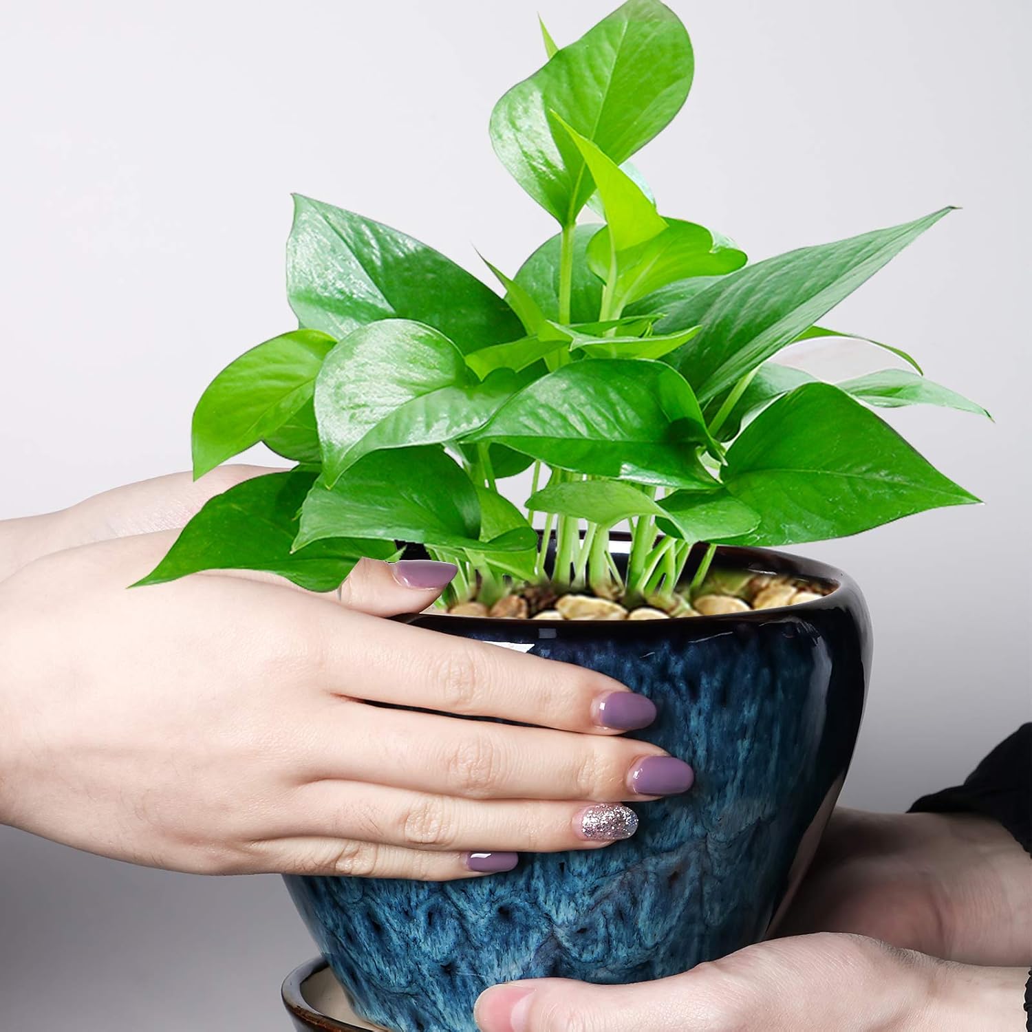 Ceramic Modern Glaze Succulent Planter Pot with Drainage Hole and Saucer 6 Inch Round Flower Plant Pot for Indoor Outdoor Herb Snake Plants 6 Inch Blue