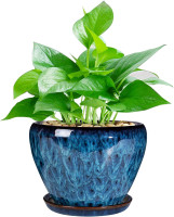 Ceramic Modern Glaze Succulent Planter Pot with Drainage Hole and Saucer 6 Inch Round Flower Plant Pot for Indoor Outdoor Herb Snake Plants 6 Inch Blue
