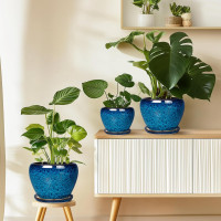 Ceramic Modern Glaze Succulent Planter Pot with Drainage Hole and Saucer 6 Inch Round Flower Plant Pot for Indoor Outdoor Herb Snake Plants 6 Inch Blue