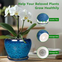 Ceramic Modern Glaze Succulent Planter Pot with Drainage Hole and Saucer 6 Inch Round Flower Plant Pot for Indoor Outdoor Herb Snake Plants 6 Inch Blue