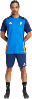 adidas Men's Juventus Competition Training Jersey XX-Large Blue