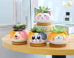 Cuteforyou Cute 3.5 Inches Indoor Cartoon Animal Cat Shaped Ceramic Succulent Cactus Flower Plant Pots with Bamboo Tray-Plant Not Included (Yellow)