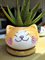 Cuteforyou Cute 3.5 Inches Indoor Cartoon Animal Cat Shaped Ceramic Succulent Cactus Flower Plant Pots with Bamboo Tray-Plant Not Included (Yellow)