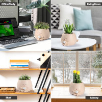 Smily Face Planter Pots, Cute Coffee Plant Pots for Indoor Outdoor Plants, Small Succulent Pots Resin Flower Pot Head Planters with Drainage Hole, Gift IdeaI for Mother Plant Lovers, Christmas