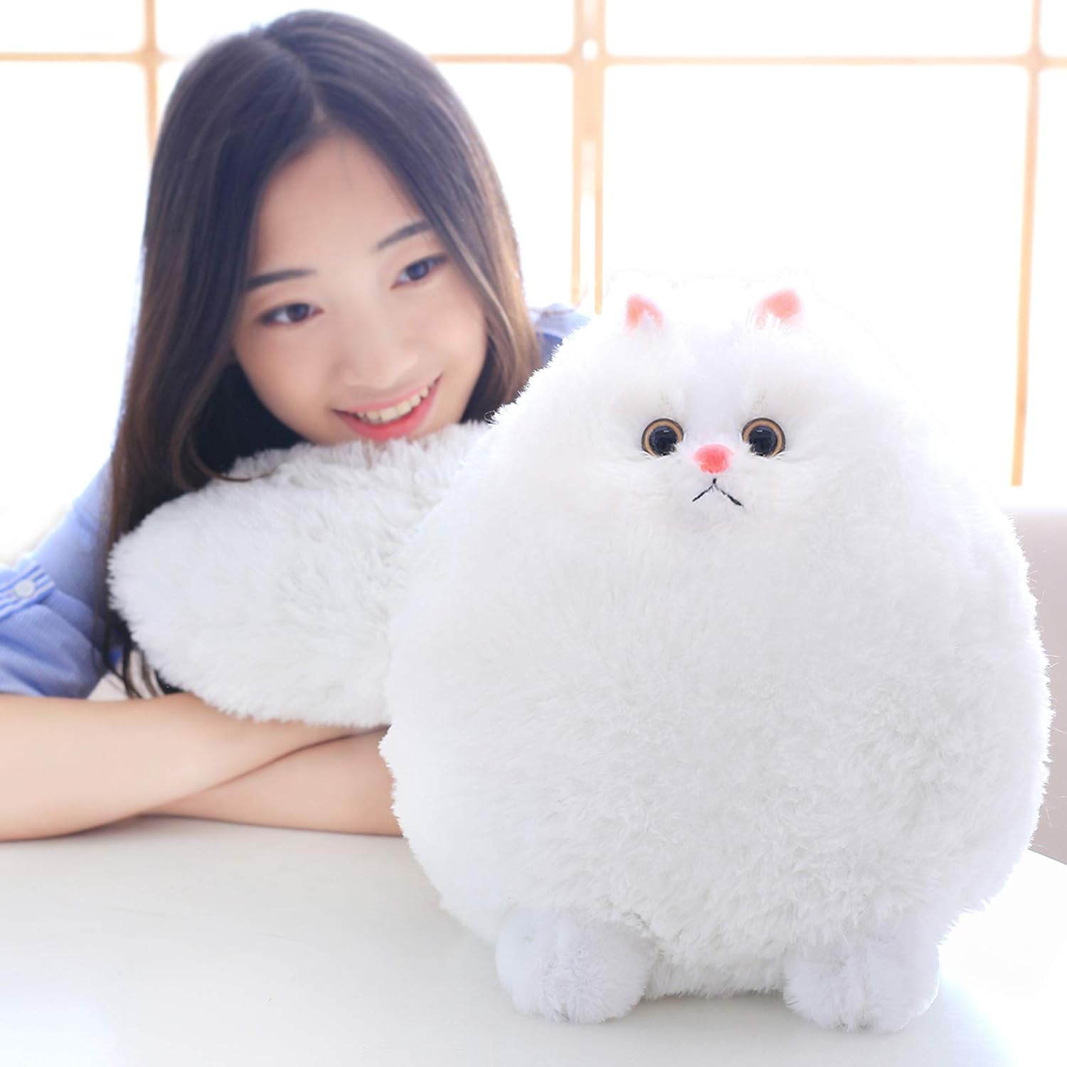 Winsterch Stuffed Animal Plushie Cat Stuffed Animal,Cute Soft Plush Cat Animals,White Stuffed Cat, Birthday for Kids,Boys,Girls,Fat Cat Stuffed Toy (White, 10 Inches) White 10 Inches