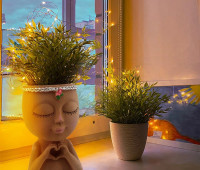 Meltset Face Planters Pots Head Unique Face Flower Pot Head Planter for Indoor Plants Cute Small Succulent Pots Indoor Plant Pot with Drainage,Great Gift (Brown Lady)