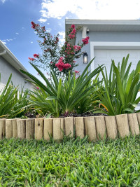 Backyard X-Scapes Natural Eucalyptus Wood Solid Log for Garden Edging Lawn Landscape Fence Borders 72 in L x 6 in H x 1.25 in D 6 in Natural