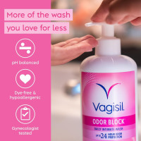 Vagisil Feminine Wash for Intimate Area Hygiene, Odor Block, Gynecologist Tested, Hypoallergenic, 16.9 oz with Pump 16.9 Fl Oz (Pack of 1)